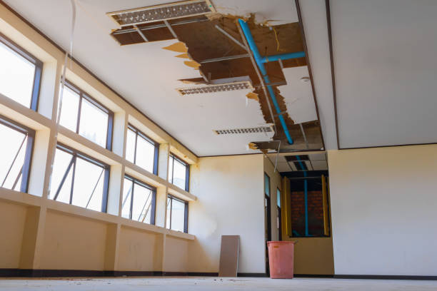 Best Water damage cleanup near me  in Fort Rucker, AL