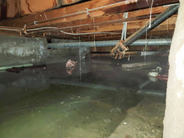 Best Sewage cleanup and water damage restoration  in Fort Rucker, AL