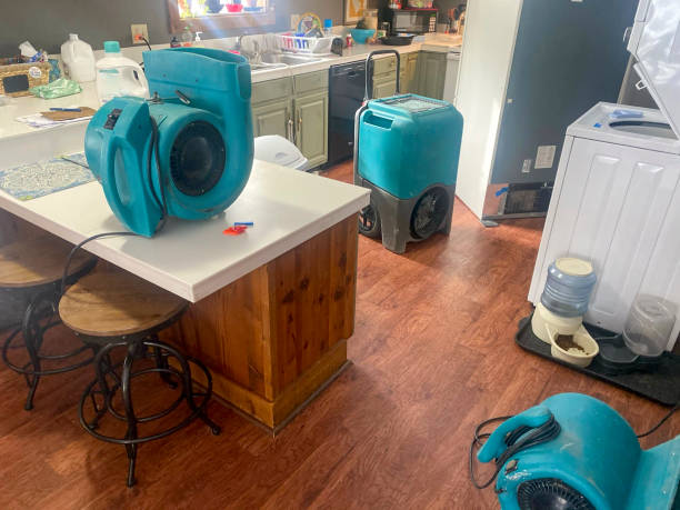 Best Water damage restoration near me  in Fort Rucker, AL