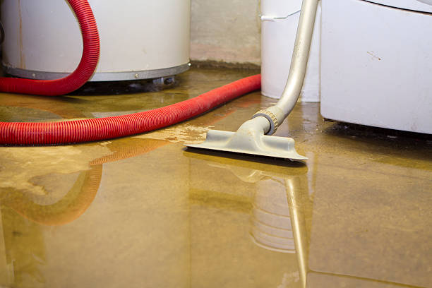 Best Basement water damage restoration  in Fort Rucker, AL