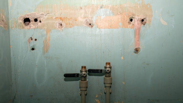 Best Local water damage restoration  in Fort Rucker, AL