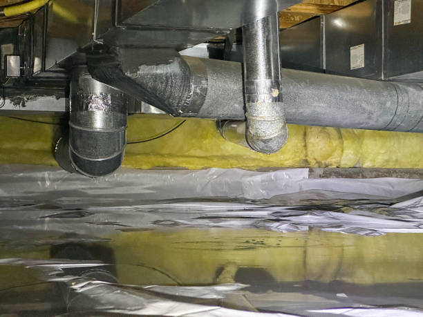 Best Professional water damage repair  in Fort Rucker, AL