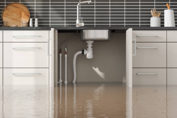 , AL Water damage restoration Company