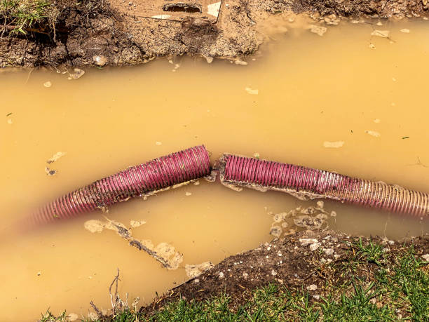  Fort Rucker, AL Water damage restoration Pros