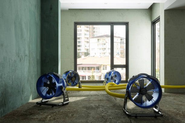 Best Water damage restoration experts  in Fort Rucker, AL